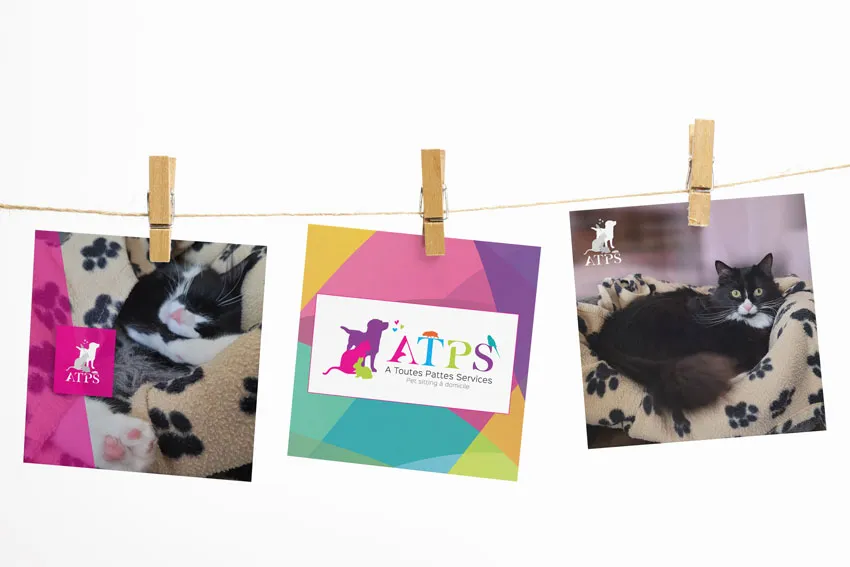 Triptyque visuel de présentation des prestations ATPS