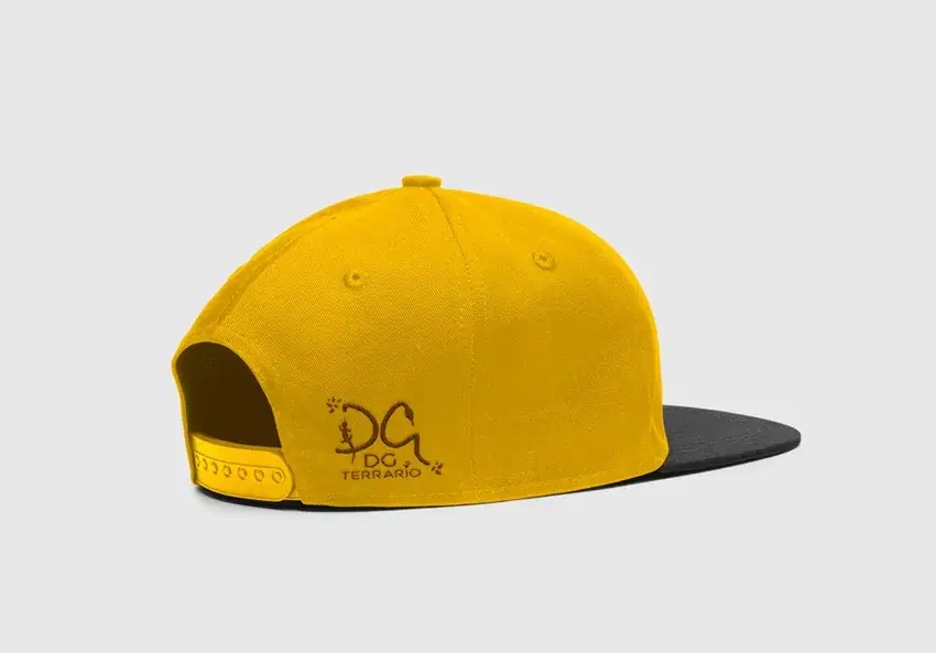 Casquette personnalisée brodée avec logo DG Terrario