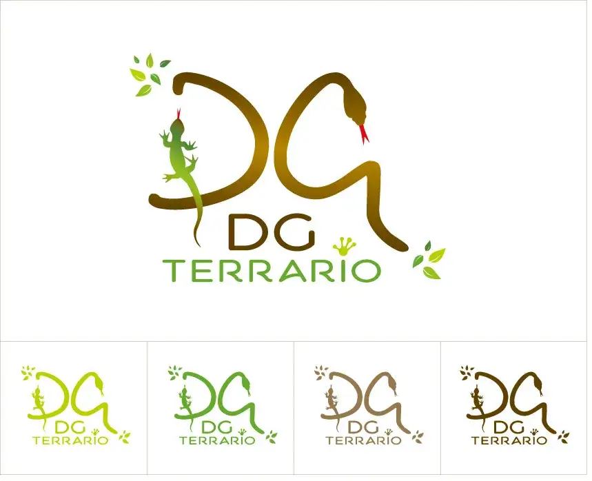 Planche de logo et déclinaisons visuelles pour DG Terrario
